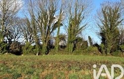 Plouhinec, Brittany 29780