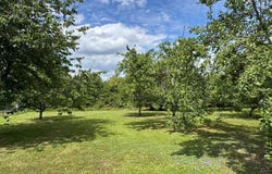 Ancerville, Lorraine 55170
