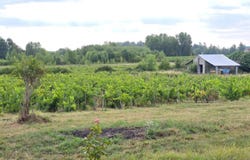 Blaye, Aquitaine 33390