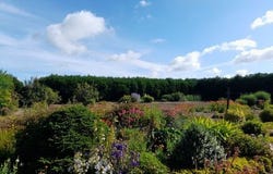 Carbay, Pays de la Loire 49420