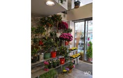 TOURS, Centre-Val de Loire 37000