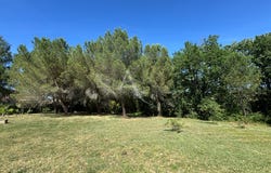 L ISLE JOURDAIN, Occitanie 32600
