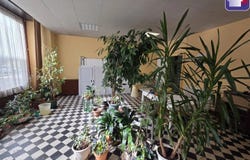 Ax-les-Thermes, Ariège 09110