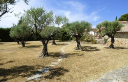 FAYENCE HH-15861345, Fayence, Provence-Alpes-Côte d'Azur 83440