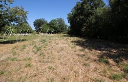 Fors, Poitou-Charentes 79230