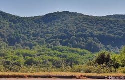 grosseto prugna, Corsica 20166
