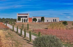 Montpeyroux, Languedoc-Roussillon 34150
