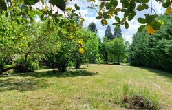 Contres, Centre-Val de Loire 41700