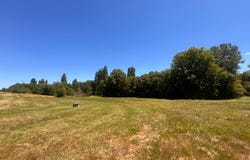 Pellegrue, Aquitaine 33790