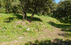 Uzès, Languedoc-Roussillon 30700