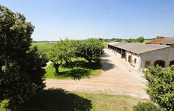 Nègrepelisse, Midi-Pyrénées 82800