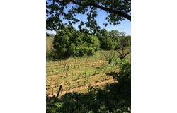 Alignan-Du-Vent, Languedoc-Roussillon 34290