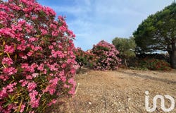 La Palme, Occitanie 11480