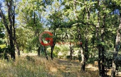 Bagnols-en-Forêt, Var 83600
