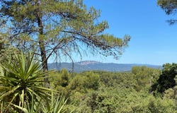 Assas, Languedoc-Roussillon 34820