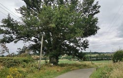 Loussous-Debat, Midi-Pyrénées 32290
