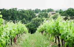Cambes, Aquitaine 33880