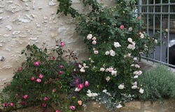 Loches, Centre-Val de Loire 37600