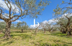 Barjac, Gard 30430
