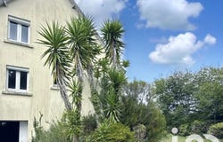 Plomelin, Brittany 29700