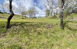 Montferrat, Var 83131