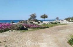 Saintes-Maries-De-La-Mer, Provence-Alpes-Côte d'Azur 13460