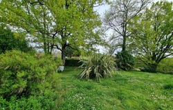 Madiran, Midi-Pyrénées 65700