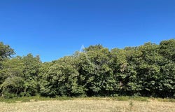 MONTAGNAC SUR LEDE, Nouvelle-Aquitaine 47150