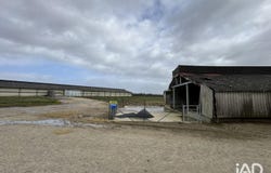 DANGÉ-SAINT-ROMAIN, Nouvelle-Aquitaine 86220