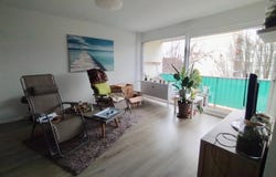 2 à 38 quai de l'Ill 67400 ILLKIRCH, Illkirch-Graffenstaden, Bas-Rhin 67400