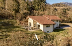 Gex, Auvergne-Rhône-Alpes 01170