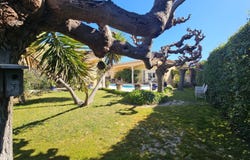 Bouzigues, Languedoc-Roussillon 34140