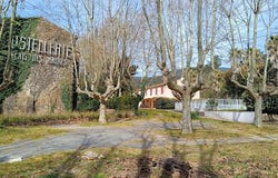 Bormes-les-Mimosas, Provence-Alpes-Côte d'Azur 83230