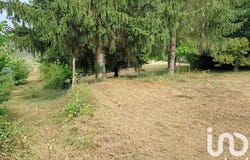 Saché, Centre-Val de Loire 37190