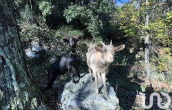 Jaujac, Auvergne-Rhône-Alpes 07380