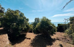Vallauris, Provence-Alpes-Côte-d'Azur 06220