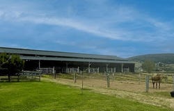 Cluny, Bourgogne-Franche-Comté 71250