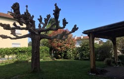 Tarbes, Hautes-Pyrénées 65000