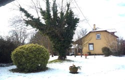 Morschwiller-le-Bas, Haut-Rhin 68790