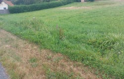 Sarrazac, Dordogne 24800