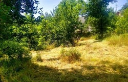 Clara Villerach, Languedoc-Roussillon 66500