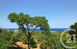 CORBARA, Corsica 20220