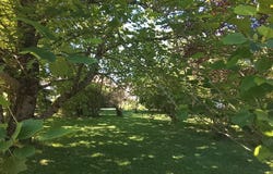 Nouic, Limousin 87330