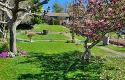 Saint-Junien, Haute-Vienne 87200