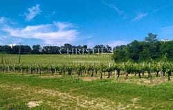 Blaye, Aquitaine 33390