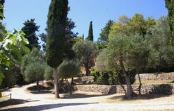 Peymeinade, Provence-Alpes-Côte-d'Azur 06530