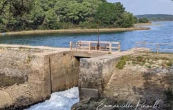 Baden, Brittany 56870