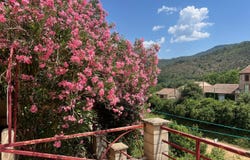 OLARGUES, Occitanie 34390