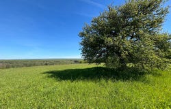 Quers, Franche-Comté 70200