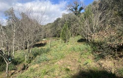 Forciolo, Corsica 20190